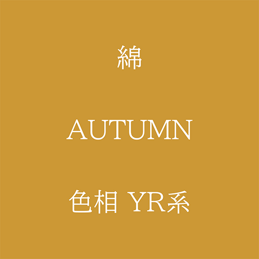 Autumn 色相 YR系 綿