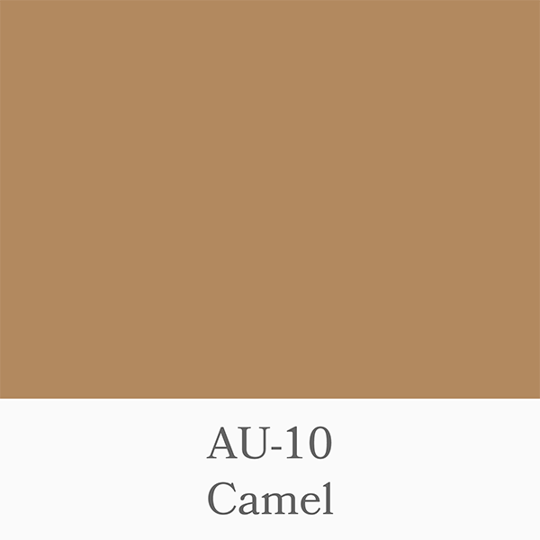 AU-10  Camel　アウトレット