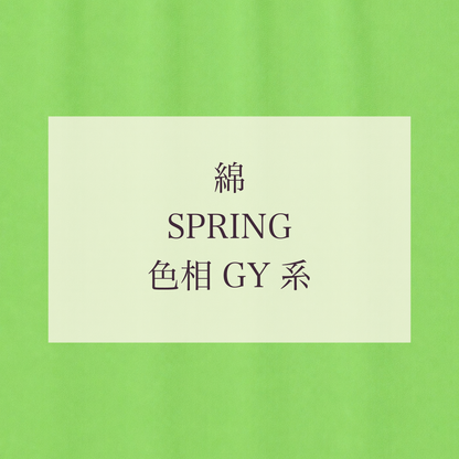 Spring 色相 GY系 綿
