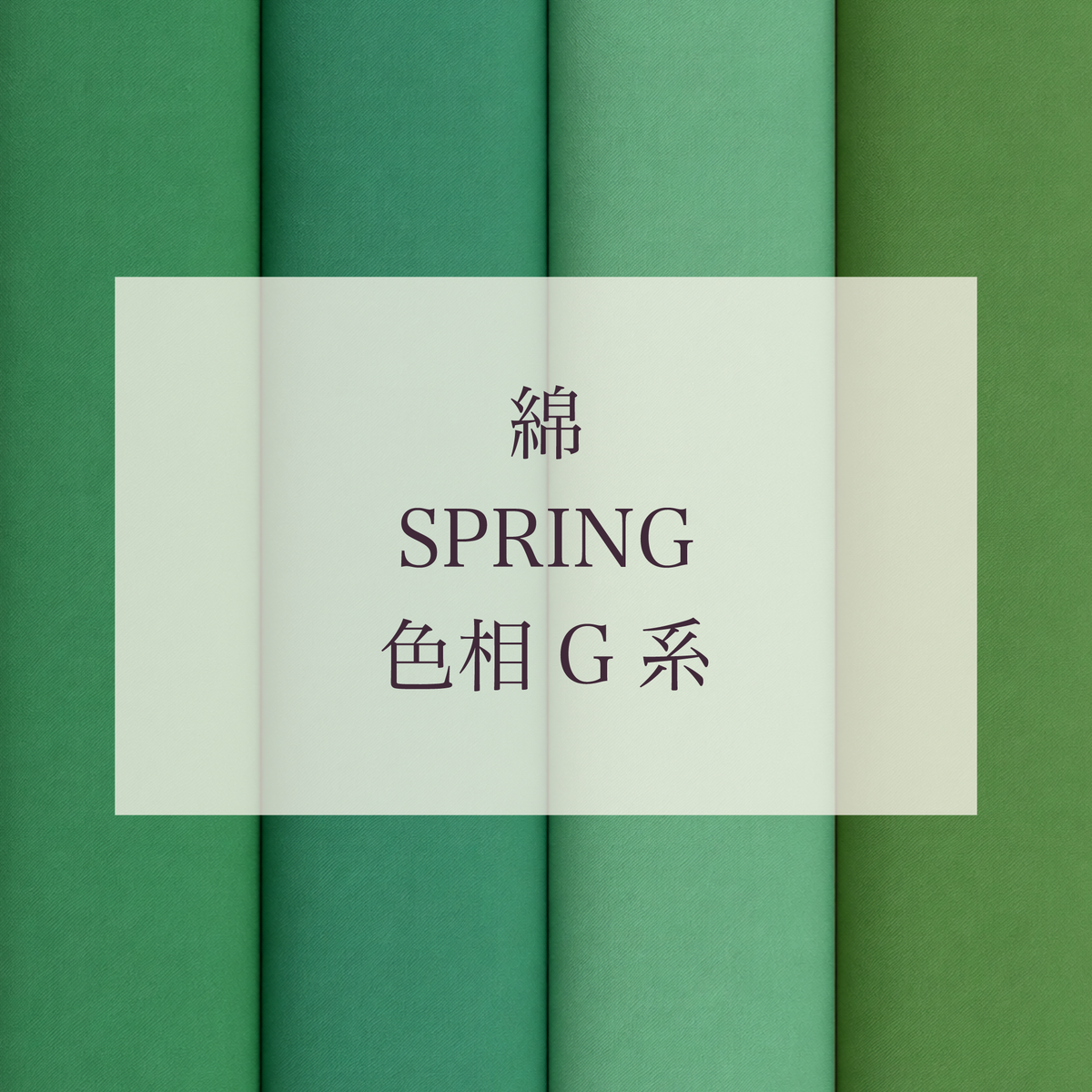 Spring 色相 G系 綿