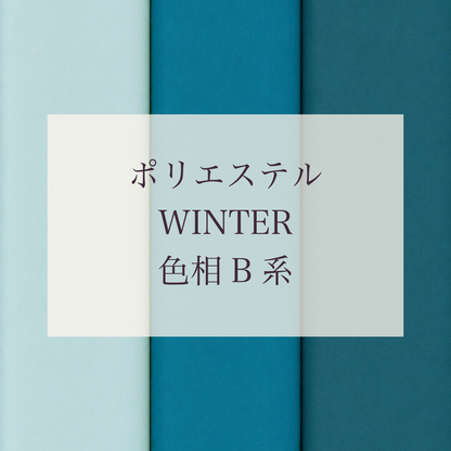 Winter 色相 B系 Pe-1